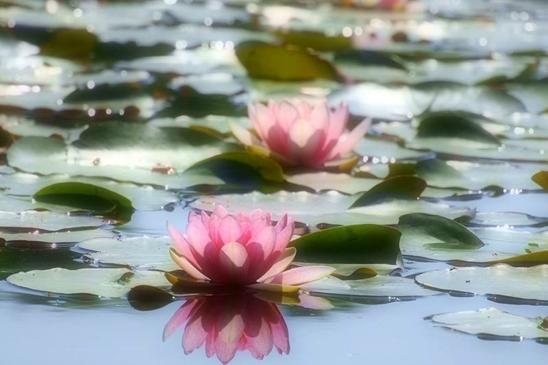 バリ島スピリチュアルツアー